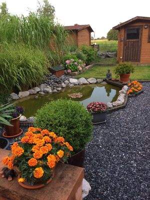 Photo von der Terasse in den Garten