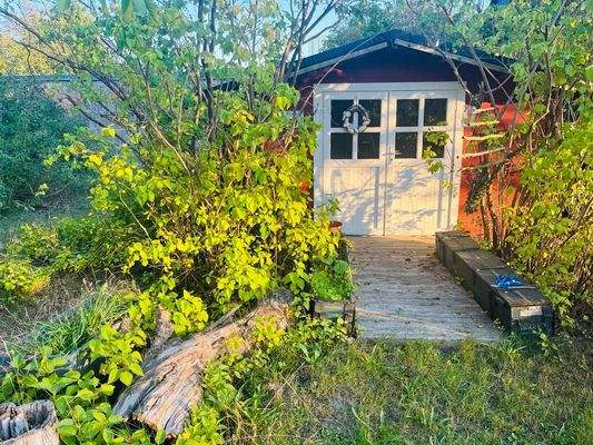 PHOTO-2023-11-15-20-41-23 (5)