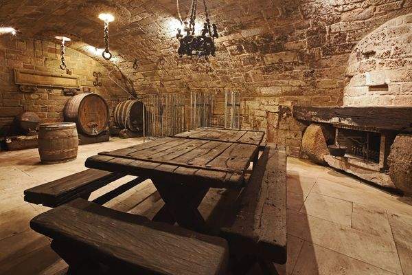 Weinkeller - offener Kamin