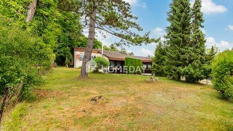 Hayingen Häuser, Hayingen Haus kaufen