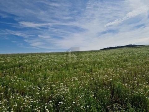 Pattigham Grundstücke, Pattigham Grundstück kaufen