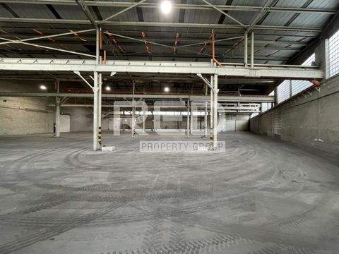 Neuss Halle, Neuss Hallenfläche