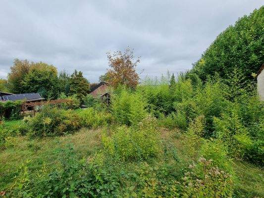 Blick vom Haus in den Garten des Grundstücks.jpg