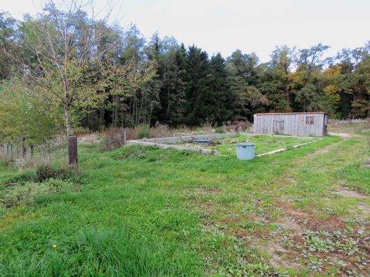 Grundstück mit kleinem Wald
