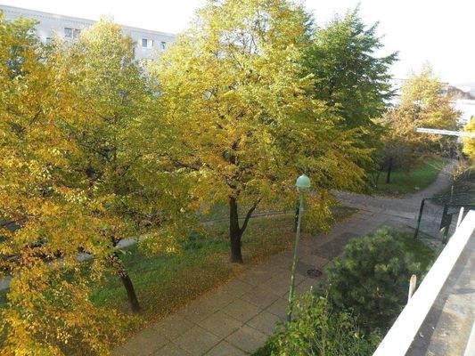 Aussicht im Sommer.JPG