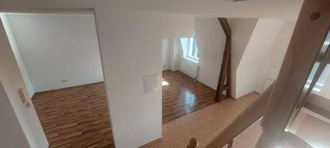 Dresden Wohnungen, Dresden Wohnung mieten