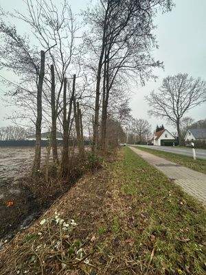 Heerstr Grundstück.jpeg