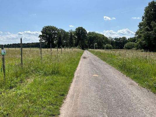 Landwirtschaftlicher Weg