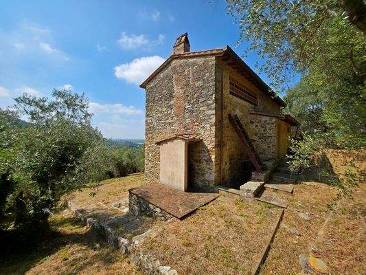 20250717_105912 (Kopie).jpg