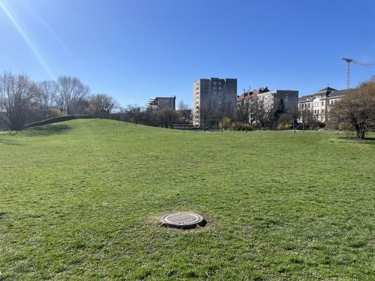 Park