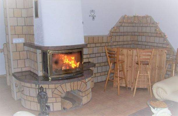 Wohnzimmer mit Kamin und Barbereich