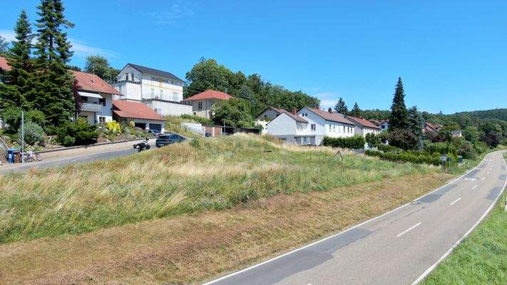 Sicht vom Ende des Grundstücks