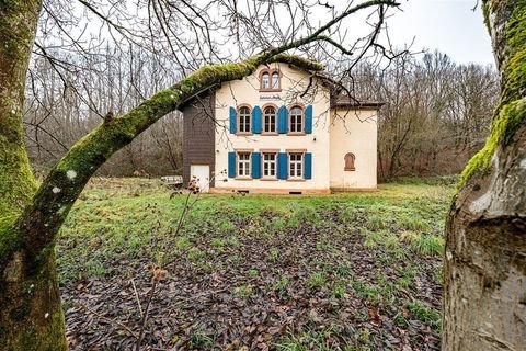 Saarbrücken Häuser, Saarbrücken Haus kaufen