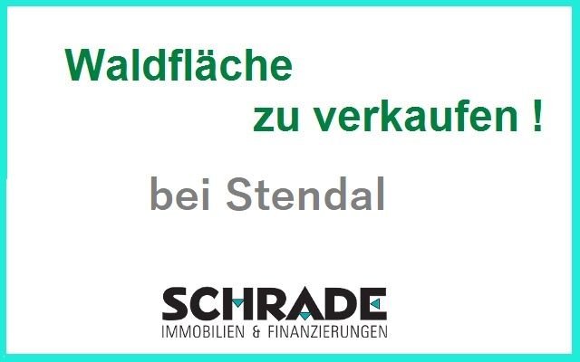 Wald und Grünland bei Stendal zu verkaufen