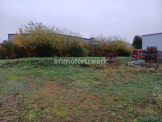 5. Freifläche hinten