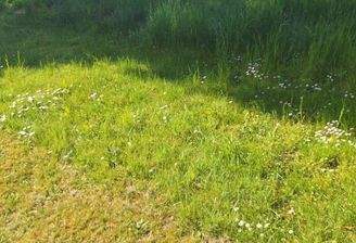 Blick auf das Wohngrundstück 