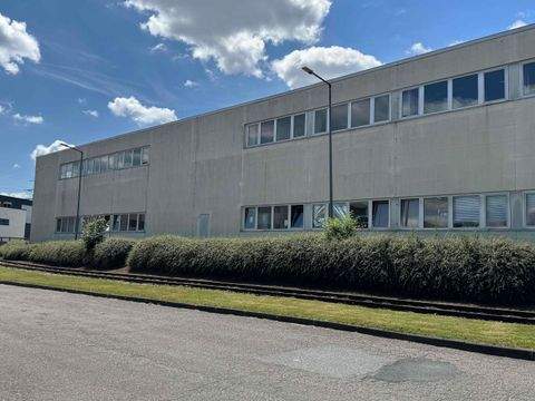 Hamburg Halle, Hamburg Hallenfläche