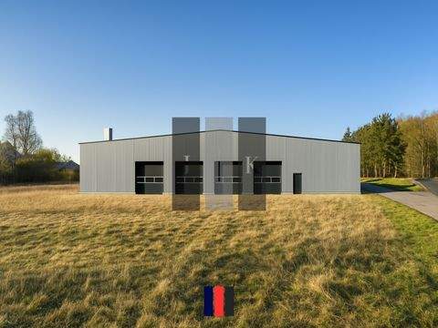 Mölln Halle, Mölln Hallenfläche