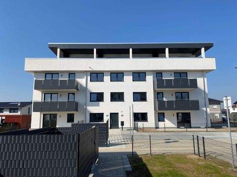Stralsund Wohnungen, Stralsund Wohnung mieten