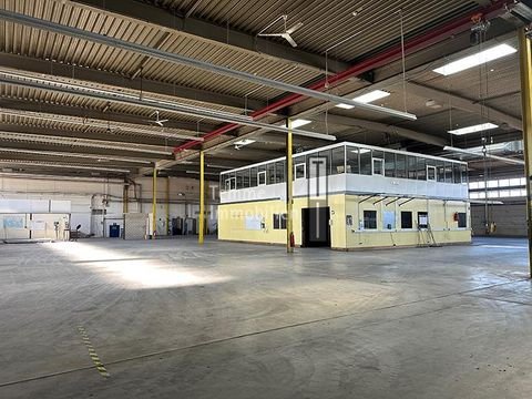 Fürth Halle, Fürth Hallenfläche