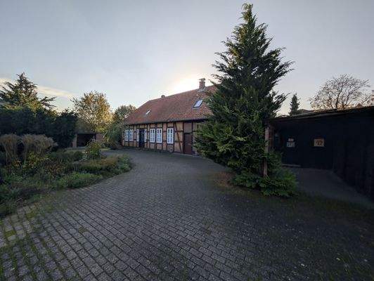  Vorderseite mit Schuppen