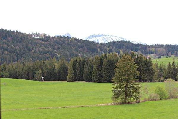 Zwischen Bergen und Wiesen
