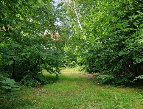 Berlin Bauernhöfe, Landwirtschaft, Berlin Forstwirtschaft