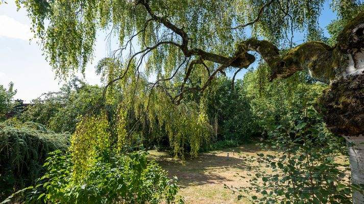 Garten mit altem Baumbestand.jpg