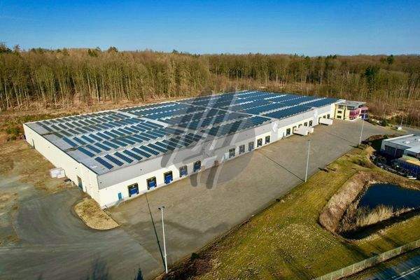 INFOS UNTER: 06171-586000