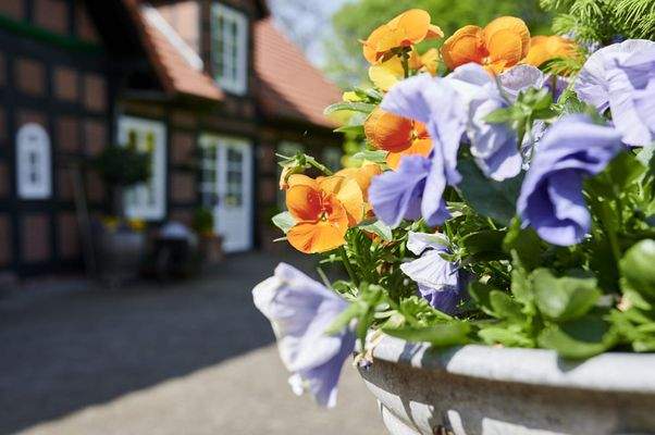 Bild 20