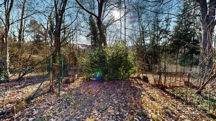 Garten/Waldgrundstück