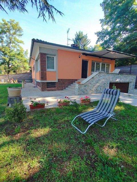 Haguenau Häuser, Haguenau Haus kaufen