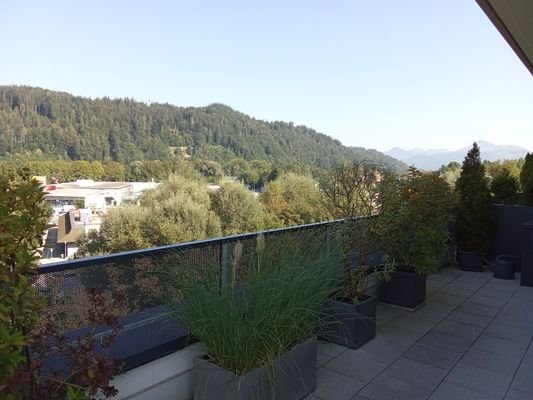 Teil der großen Dachterrasse