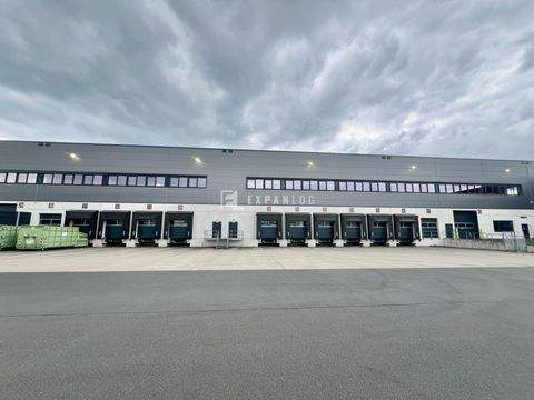 Langenfeld Halle, Langenfeld Hallenfläche