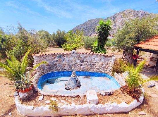 img_9826693c-e833-4652-aea2-6dfe4fa0a9bd