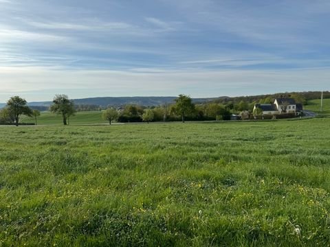 Nusbaum Grundstücke, Nusbaum Grundstück kaufen