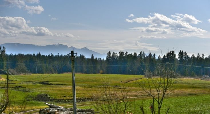 Ausblick