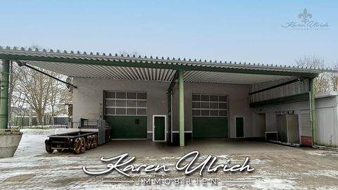 Salzhausen Halle, Salzhausen Hallenfläche