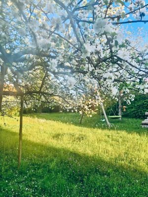 Weiterer Garten oder Bauplatz