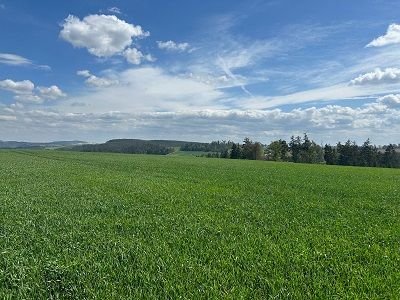 Zeulenroda-Triebes Bauernhöfe, Landwirtschaft, Zeulenroda-Triebes Forstwirtschaft