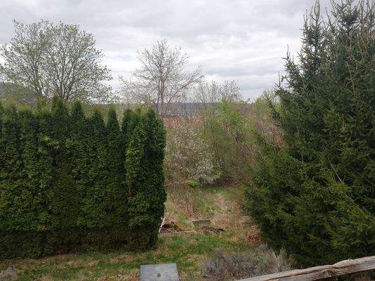 Blick vom Bungalow aus