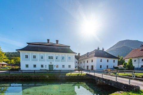Scharnstein Wohnungen, Scharnstein Wohnung mieten