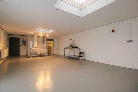 Nürnberg Halle, Nürnberg Hallenfläche