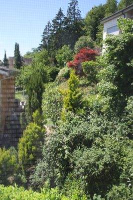 Ausblick ins Grüne vom Schlafzimmer