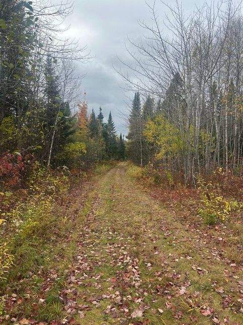 Napan Miramichi Grundstücke, Napan Miramichi Grundstück kaufen