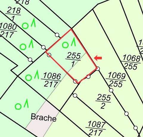 Altenahr Bauernhöfe, Landwirtschaft, Altenahr Forstwirtschaft