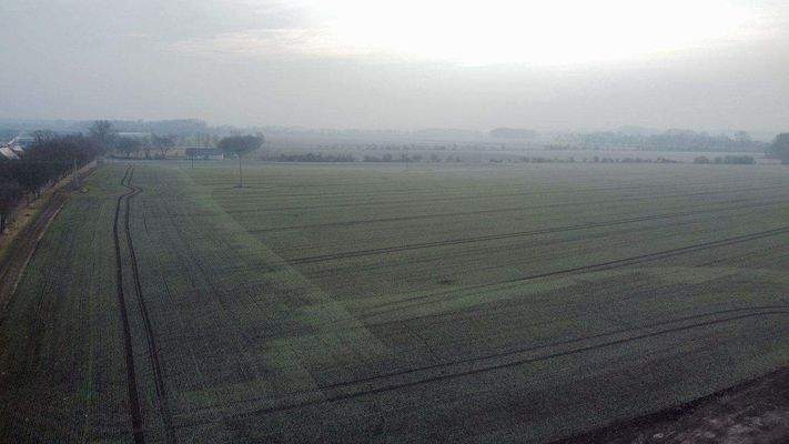 dji_fly_20250209_105556_292_1739096156466_photo_op