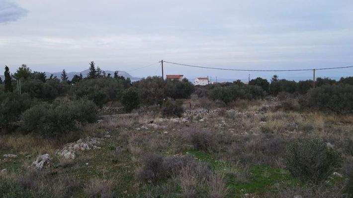 Kreta, Kokkino Chorio: Grundstück in Kokkino Chorio zu verkaufen