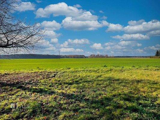 Blick über das Feld