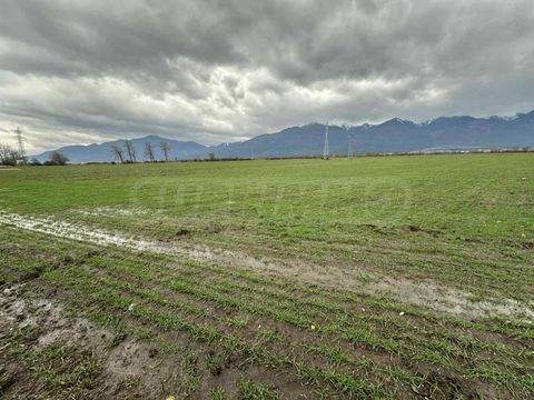 Razlog Bauernhöfe, Landwirtschaft, Razlog Forstwirtschaft